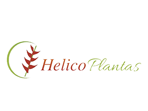 Helicoplantas